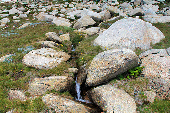 Headwaters of the Snowy River