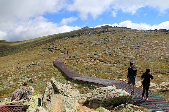 Track from the lookout towards Rawson Pass