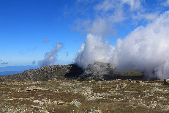 Cloud over Mount Townsend
