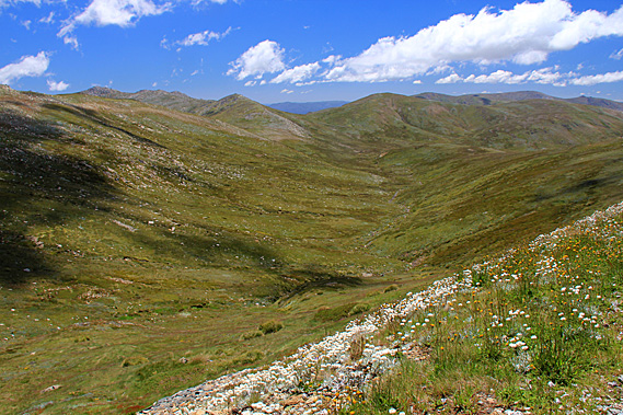Looking down the valley