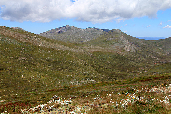 Looking down the valley