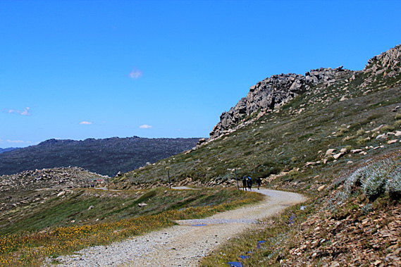 Near the bend of Seaman's Hut