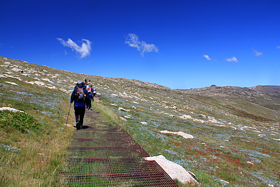 Very windy above Lake Cootapatamba