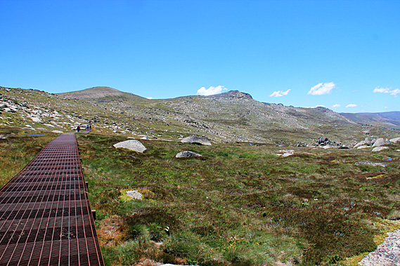 Near headwaters of the Snowy River