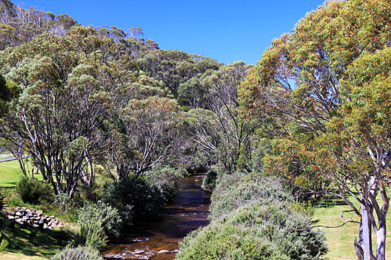 Threadbo River
