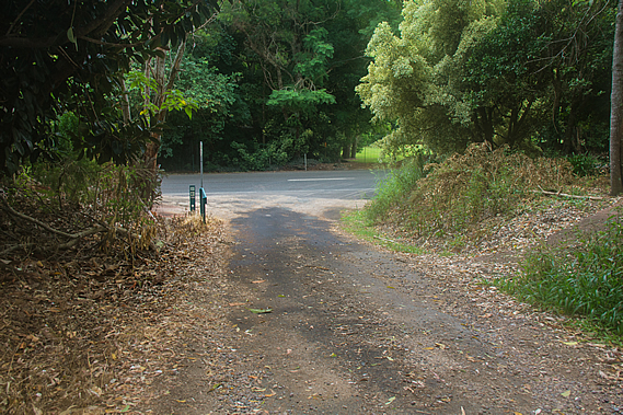 Track leaving the road
