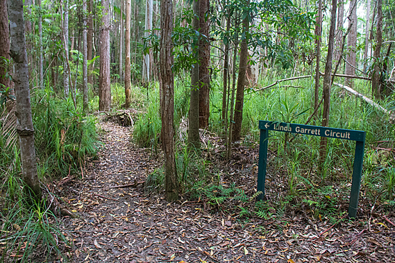 Track junction