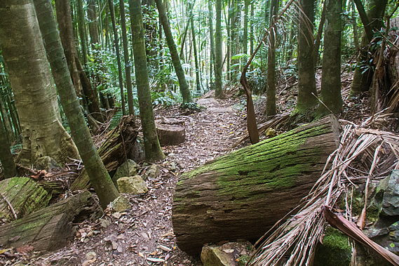 Track down to Baxter Creek
