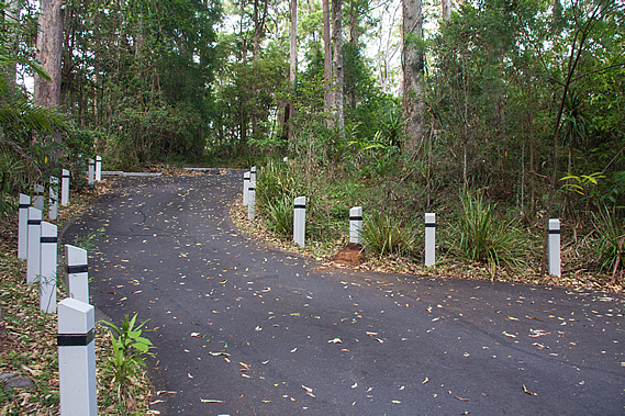 Road to Mapleton