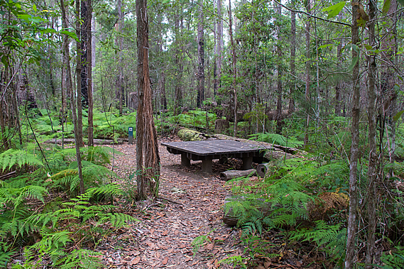 One of the campsites