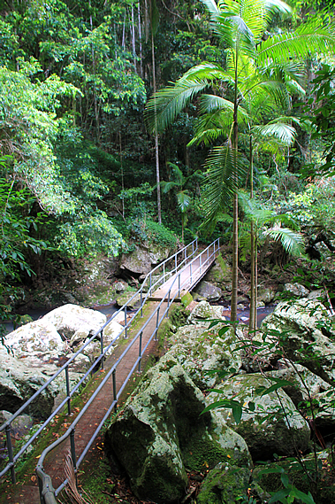 The Bridge