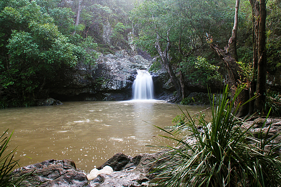 The pool