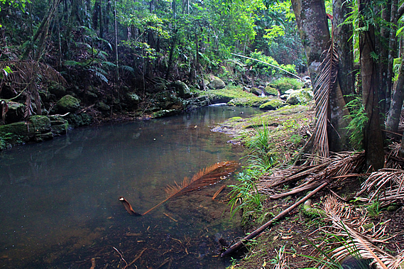Skene Creek