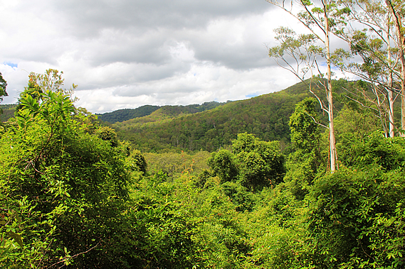 View from top of rise