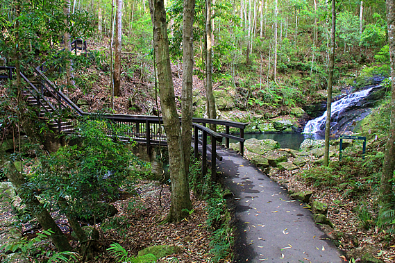 Picnic Creek
