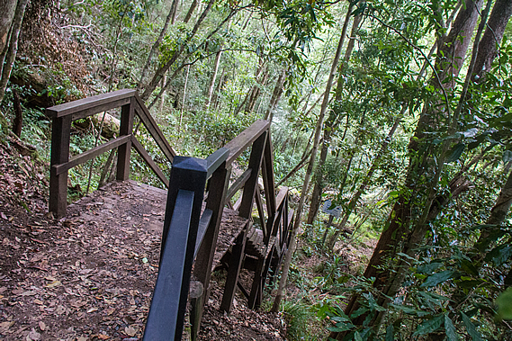 Descent to Obi Obi Creek