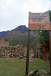 The main campsite 