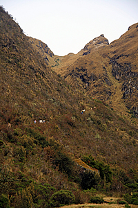 The long steep trail to the pass 