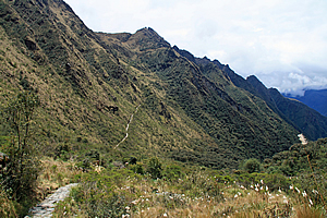 Trail