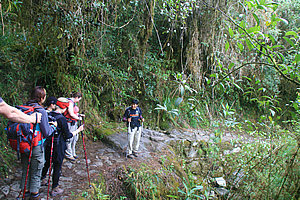 Descending Trail