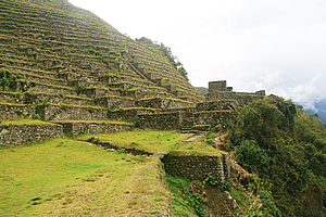 Intipata