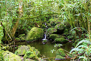 Small cascading stream