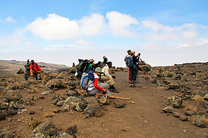 Resting at the top of the saddle