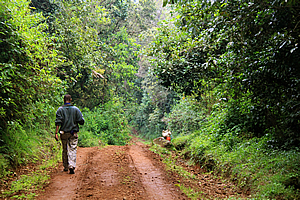 The porters' road
