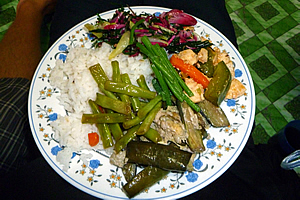 Dinner - it was all grown here