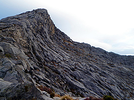 The summit