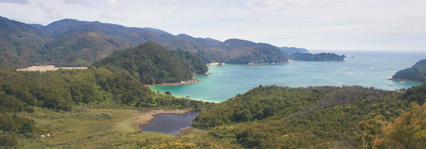Abel Tasman Coast Track