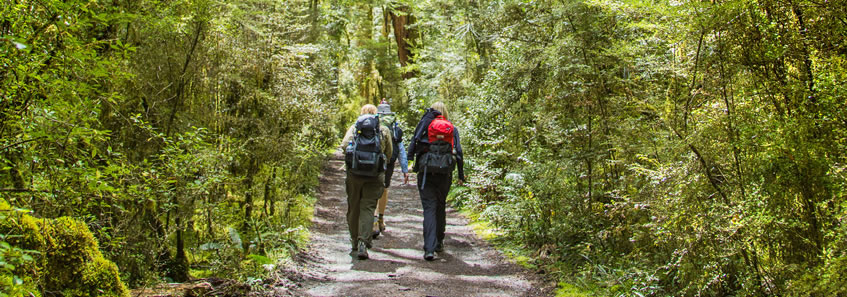 New Zealand Great Walks