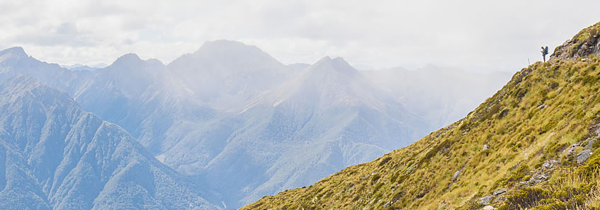 Kepler Track