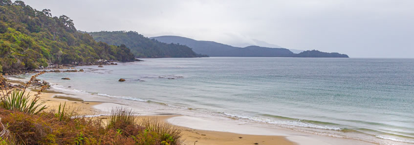Rakiura Track