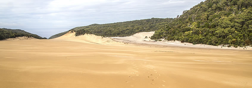 Part A - Great Sandy National Park