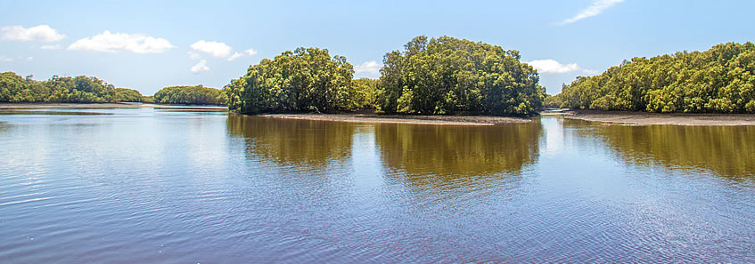 Part D - North Brisbane