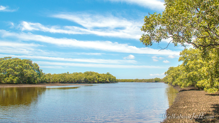 Day 16 - Rivers of Deception Bay