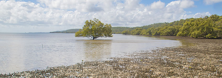 Part G - Bay Islands